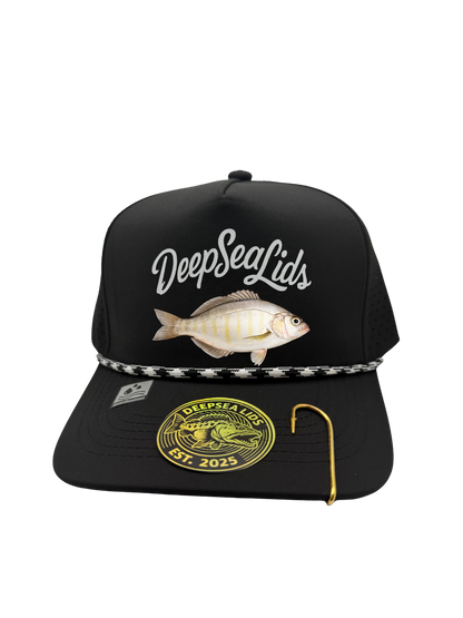 Build Your Own DeepSeaLids