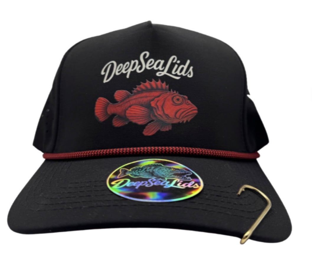 Rock Fish snap back