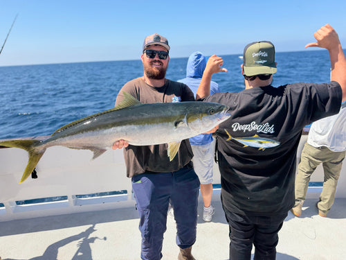 *Embroidered  Yellow tail olive FREE shirt included